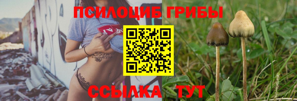 Галлюциногенные грибы MAGIC MUSHROOMS  Вход с VPN  Бахчисарай 